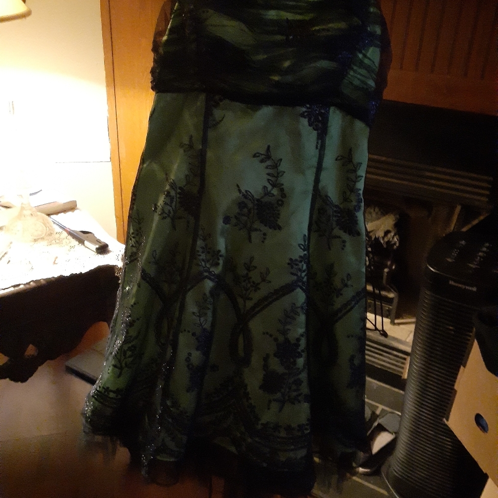Dress - Picture 2 of 2
